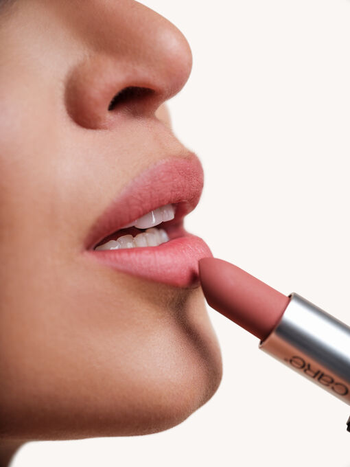 HIGH CLEAN Batom Caring Rose